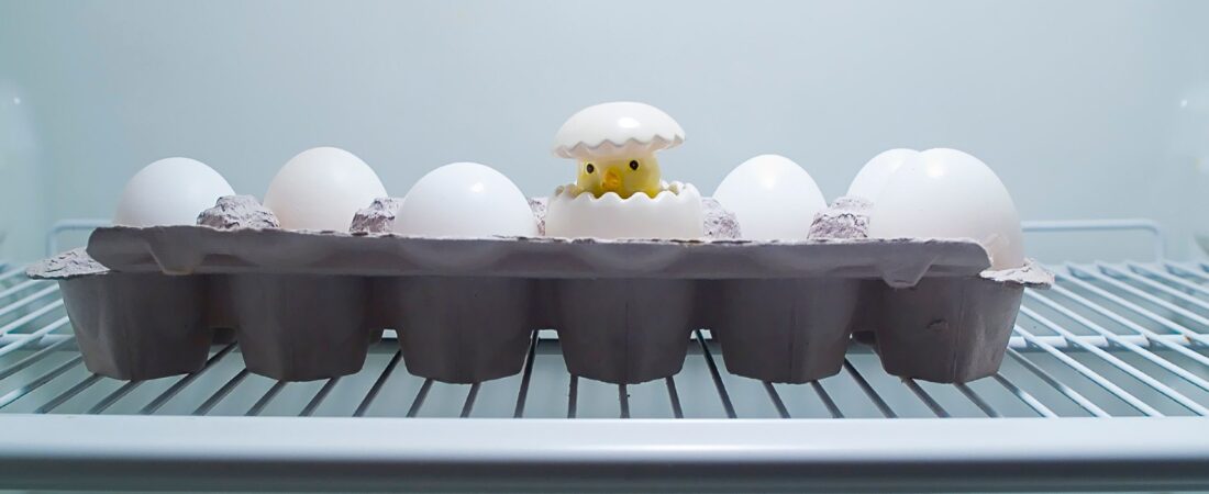 10 Biggest Food Storage Mistakes Beginners Make (And How to Avoid Them)