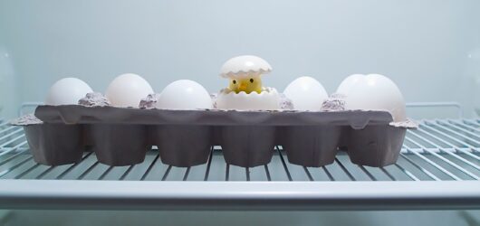 10 Biggest Food Storage Mistakes Beginners Make (And How to Avoid Them)